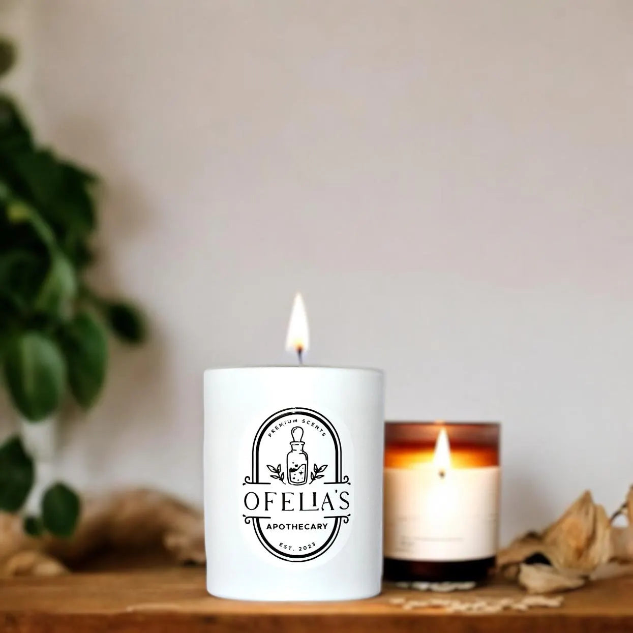 Scented Candle | Dulce - Rhubarb, Plum & Blackberry