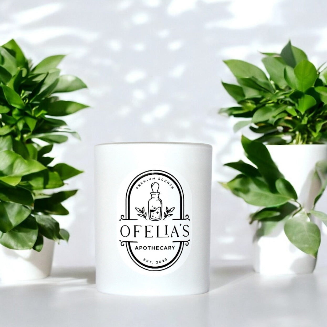 Scented Candle | Dulce - Rhubarb, Plum & Blackberry