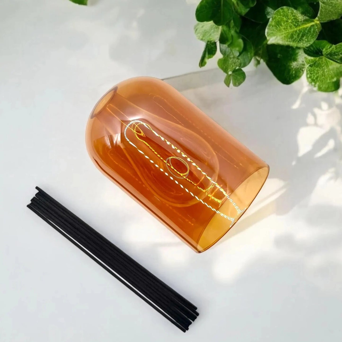 Diffuser + Reeds + Scent